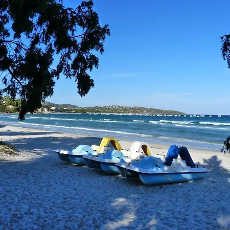 A Suarticcia * Pinarellu