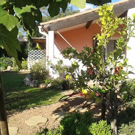 A Suarticcia * Pinarellu