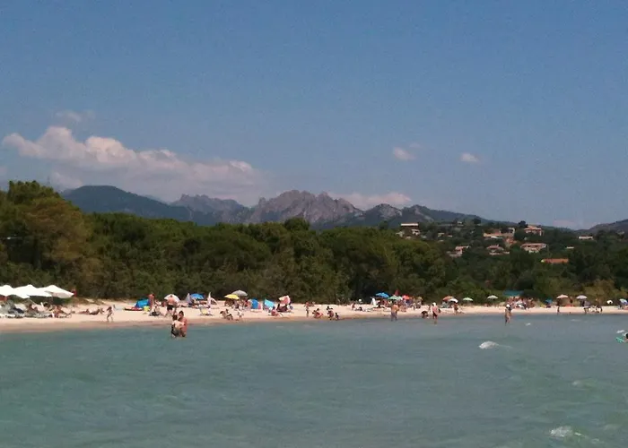 Vakantiehuis A Suarticcia