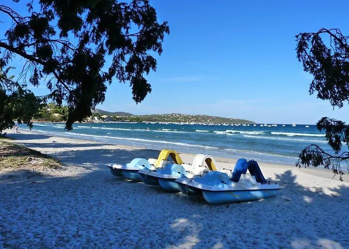 A Suarticcia * Pinarellu