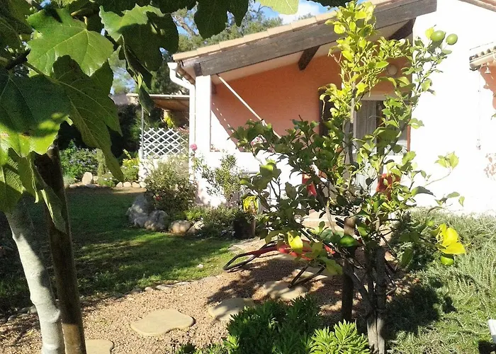 A Suarticcia * Pinarellu